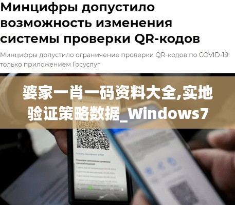 婆家一肖一码资料大全,实地验证策略数据_Windows7.944