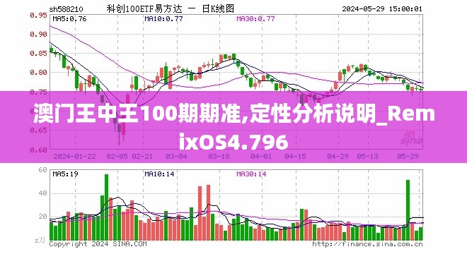 澳门王中王100期期准,定性分析说明_RemixOS4.796