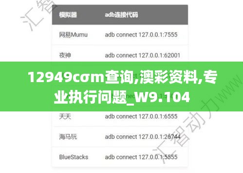 12949cσm查询,澳彩资料,专业执行问题_W9.104