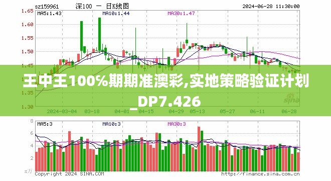 王中王100℅期期准澳彩,实地策略验证计划_DP7.426