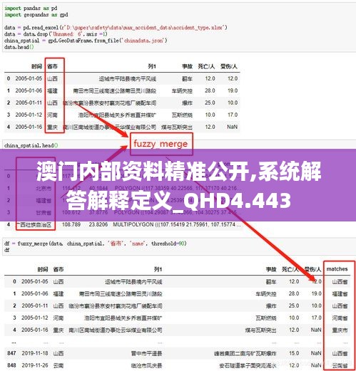 澳门内部资料精准公开,系统解答解释定义_QHD4.443