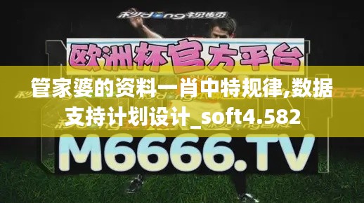 管家婆的资料一肖中特规律,数据支持计划设计_soft4.582