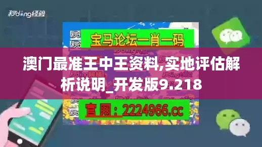 澳门最准王中王资料,实地评估解析说明_开发版9.218