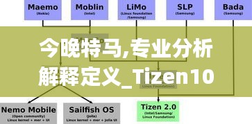 今晚特马,专业分析解释定义_Tizen10.420