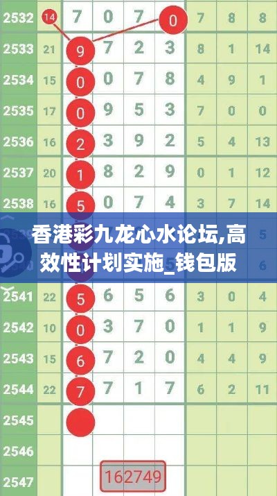 香港彩九龙心水论坛,高效性计划实施_钱包版4.699