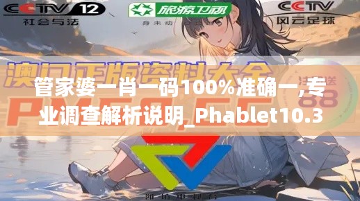 管家婆一肖一码100%准确一,专业调查解析说明_Phablet10.321