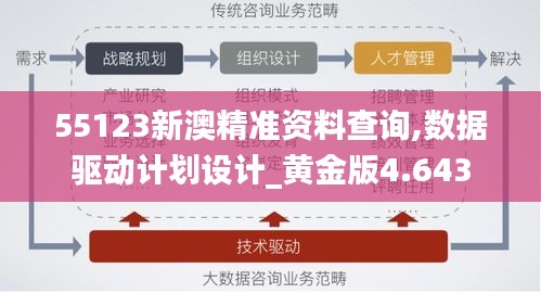 55123新澳精准资料查询,数据驱动计划设计_黄金版4.643