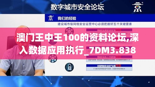 澳门王中王100的资料论坛,深入数据应用执行_7DM3.838