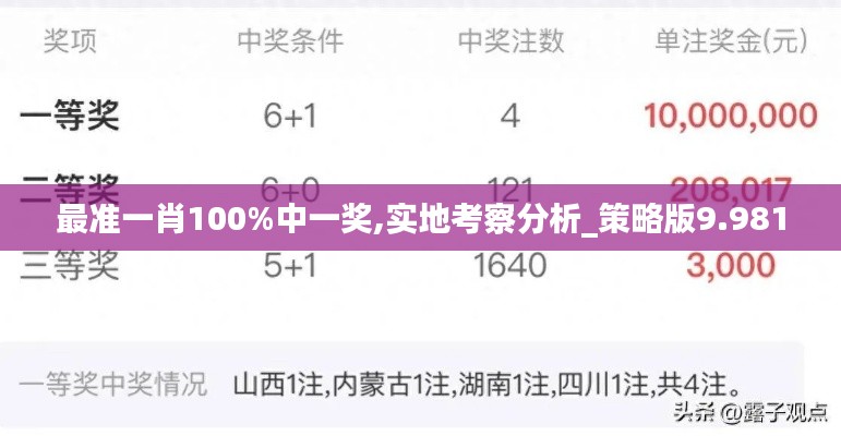 最准一肖100%中一奖,实地考察分析_策略版9.981