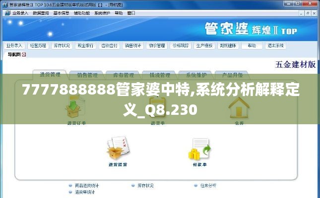 7777888888管家婆中特,系统分析解释定义_Q8.230