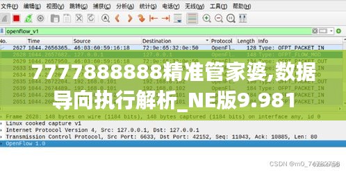 7777888888精准管家婆,数据导向执行解析_NE版9.981