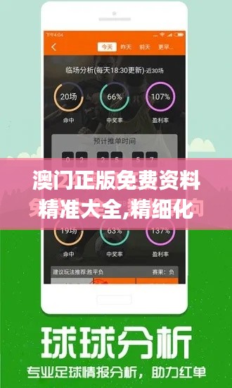 澳门正版免费资料精准大全,精细化策略定义探讨_复刻版19.822