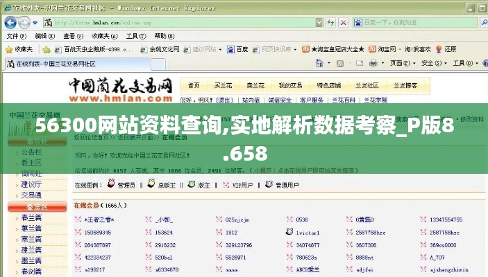 56300网站资料查询,实地解析数据考察_P版8.658