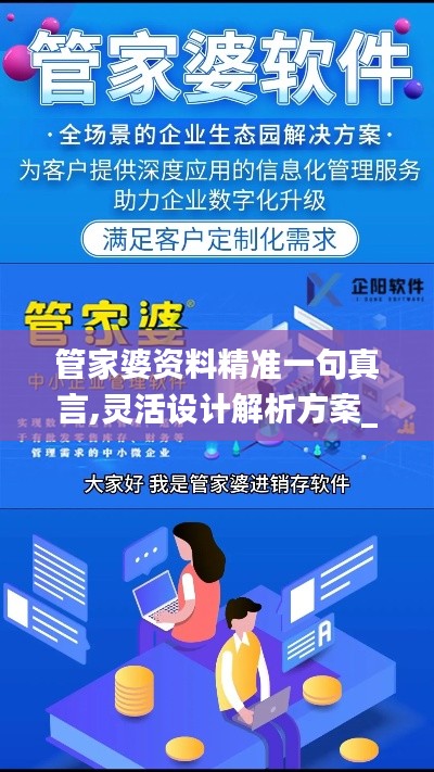 管家婆资料精准一句真言,灵活设计解析方案_6DM2.781