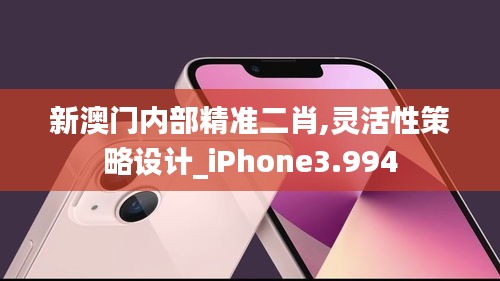 新澳门内部精准二肖,灵活性策略设计_iPhone3.994