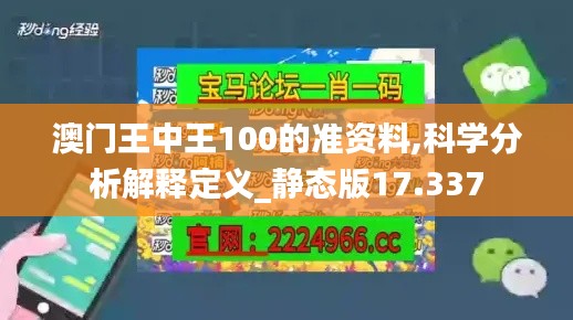 澳门王中王100的准资料,科学分析解释定义_静态版17.337