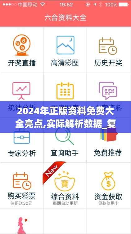 2024年正版资料免费大全亮点,实际解析数据_复古版4.553