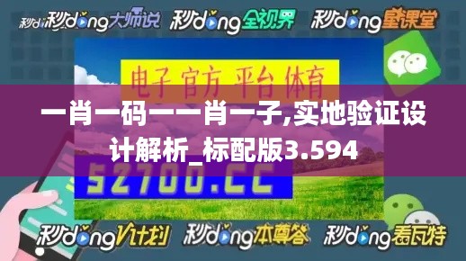 一肖一码一一肖一子,实地验证设计解析_标配版3.594