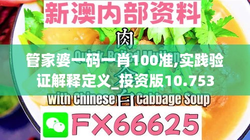 管家婆一码一肖100准,实践验证解释定义_投资版10.753