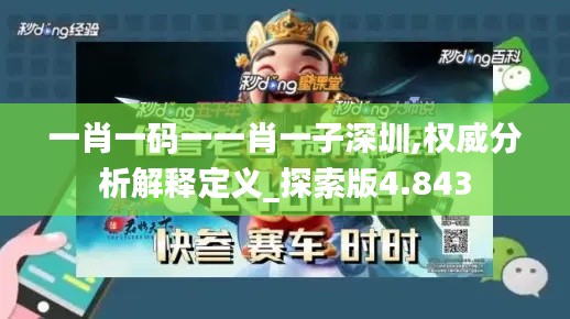 一肖一码一一肖一子深圳,权威分析解释定义_探索版4.843