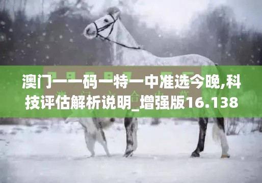 澳门一一码一特一中准选今晚,科技评估解析说明_增强版16.138