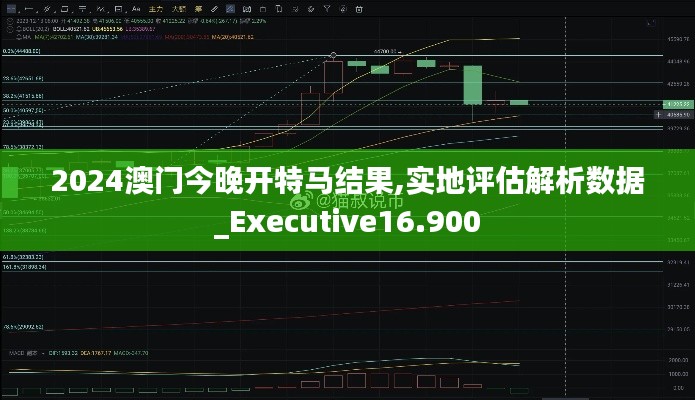 2024澳门今晚开特马结果,实地评估解析数据_Executive16.900