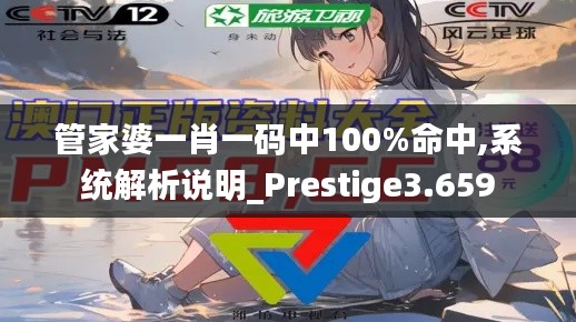 管家婆一肖一码中100%命中,系统解析说明_Prestige3.659