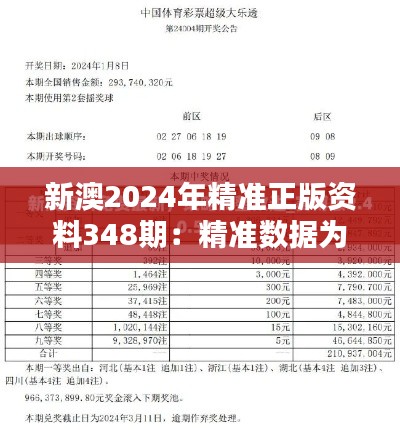 新澳2024年精准正版资料348期：精准数据为商业决策提供有力支撑