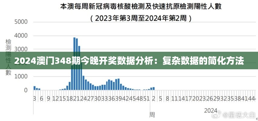 2024澳门348期今晚开奖数据分析：复杂数据的简化方法