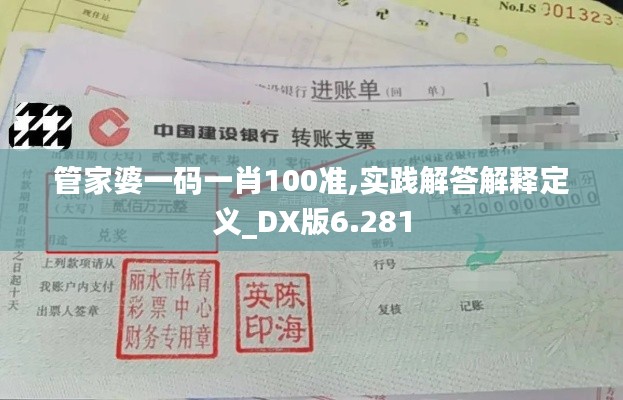 管家婆一码一肖100准,实践解答解释定义_DX版6.281