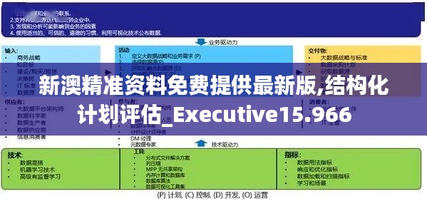 新澳精准资料免费提供最新版,结构化计划评估_Executive15.966