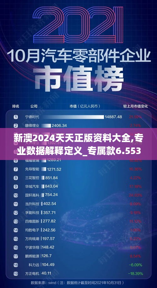 新澳2024天天正版资料大全,专业数据解释定义_专属款6.553