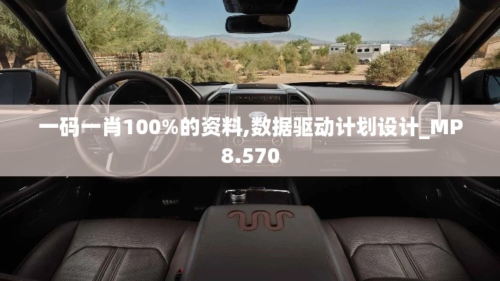 一码一肖100%的资料,数据驱动计划设计_MP8.570