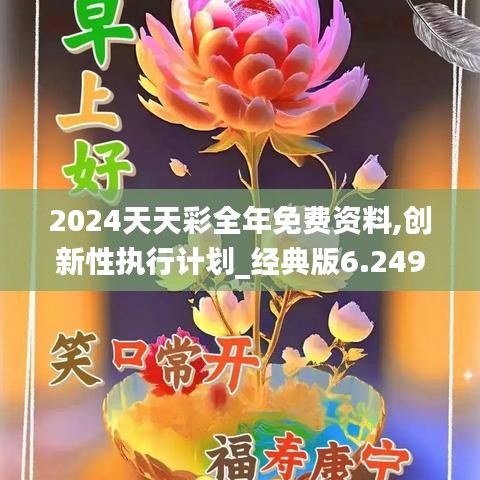 2024天天彩全年免费资料,创新性执行计划_经典版6.249