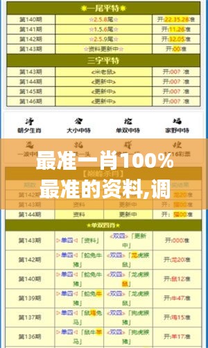 最准一肖100%最准的资料,调整细节执行方案_HD9.843