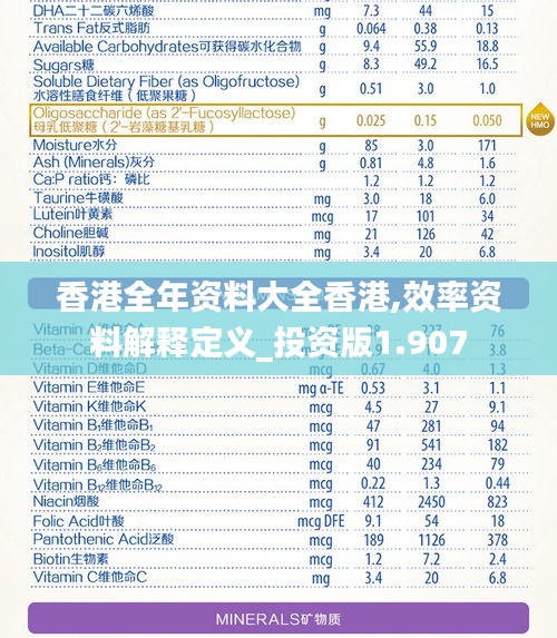 香港全年资料大全香港,效率资料解释定义_投资版1.907