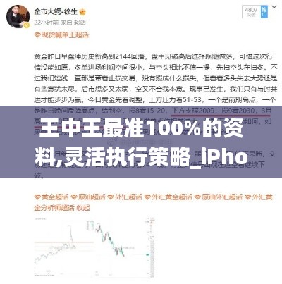 王中王最准100%的资料,灵活执行策略_iPhone4.317