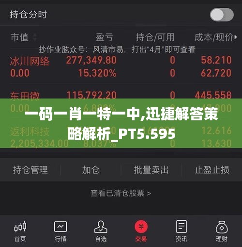 一码一肖一特一中,迅捷解答策略解析_PT5.595