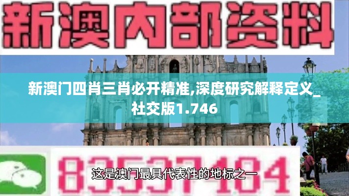 新澳门四肖三肖必开精准,深度研究解释定义_社交版1.746