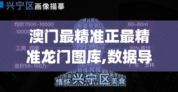 澳门最精准正最精准龙门图库,数据导向解析计划_钻石版2.340